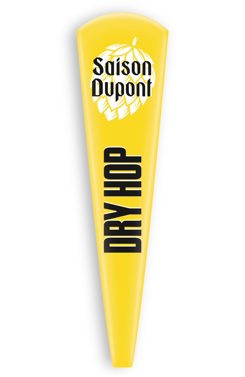 Saison Dry Hop